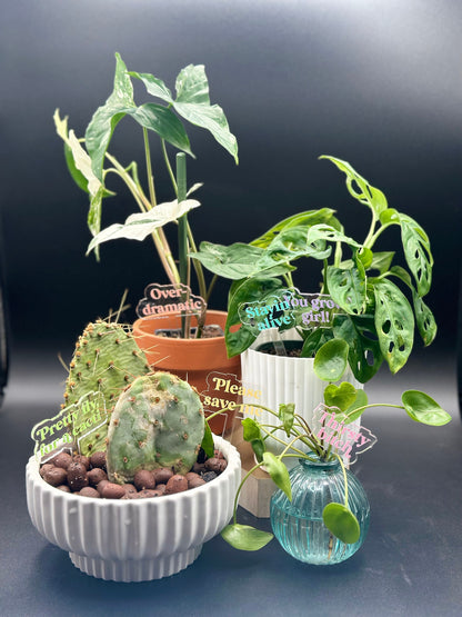 Funny acrylic plant stakes- brightly painted transparent durable acrylic makes a great gift for any plant lover