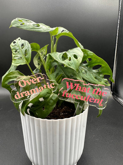 Funny acrylic plant stakes- brightly painted transparent durable acrylic makes a great gift for any plant lover