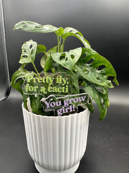 Funny acrylic plant stakes- brightly painted transparent durable acrylic makes a great gift for any plant lover